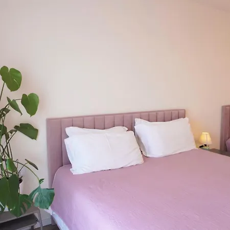 Apartman Delight Tirana