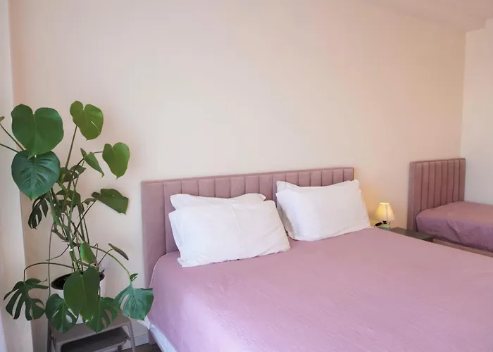 Apartman Delight Tirana